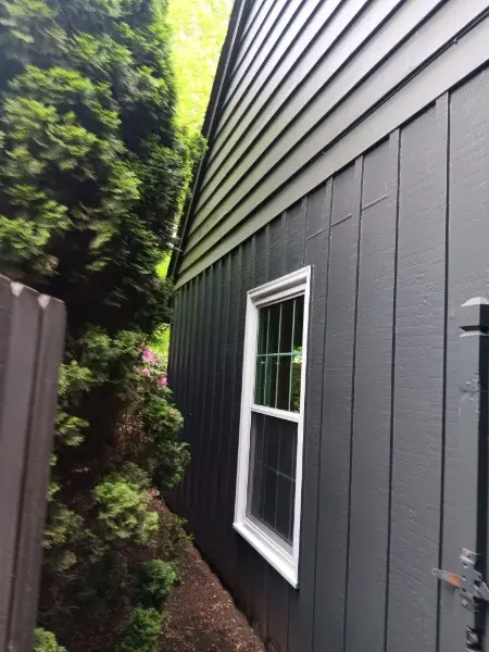 Single white-framed window on dark green board-and-batten siding beside a tall hedge